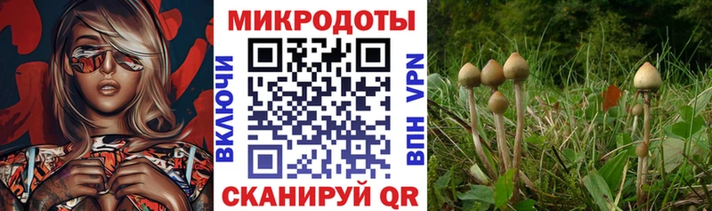 Галлюциногенные грибы ЛСД цена наркотик Райчихинск